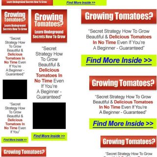 Banner Templates Set - Style #30