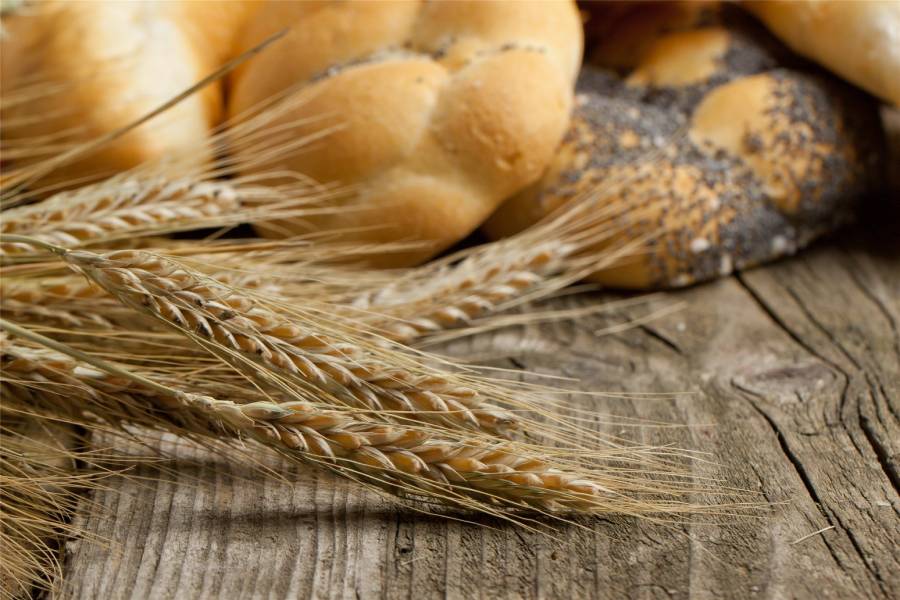 Food Images Bundle - Image 16