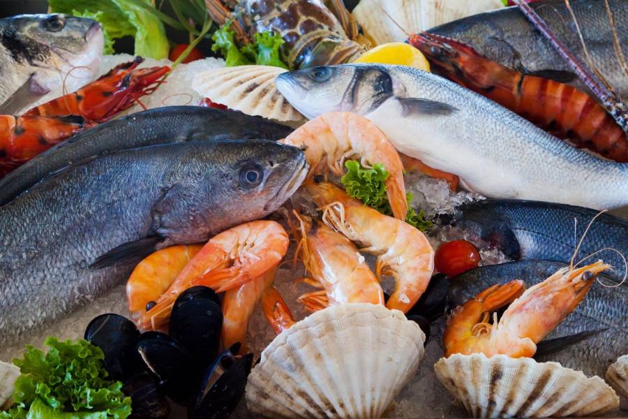 Food Images (36) - Seafood