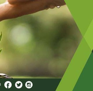 Facebook Timeline Covers Template - Gardening Niche - Style#47