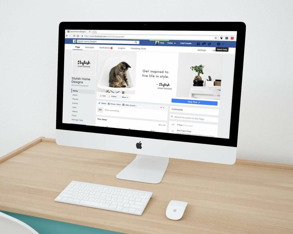 Web Design image