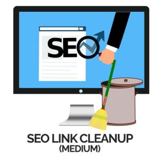 SEO Link Cleanup Service - Medium