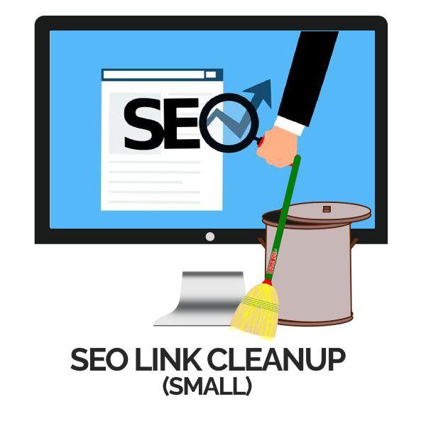 SEO Link Cleanup Service - Small